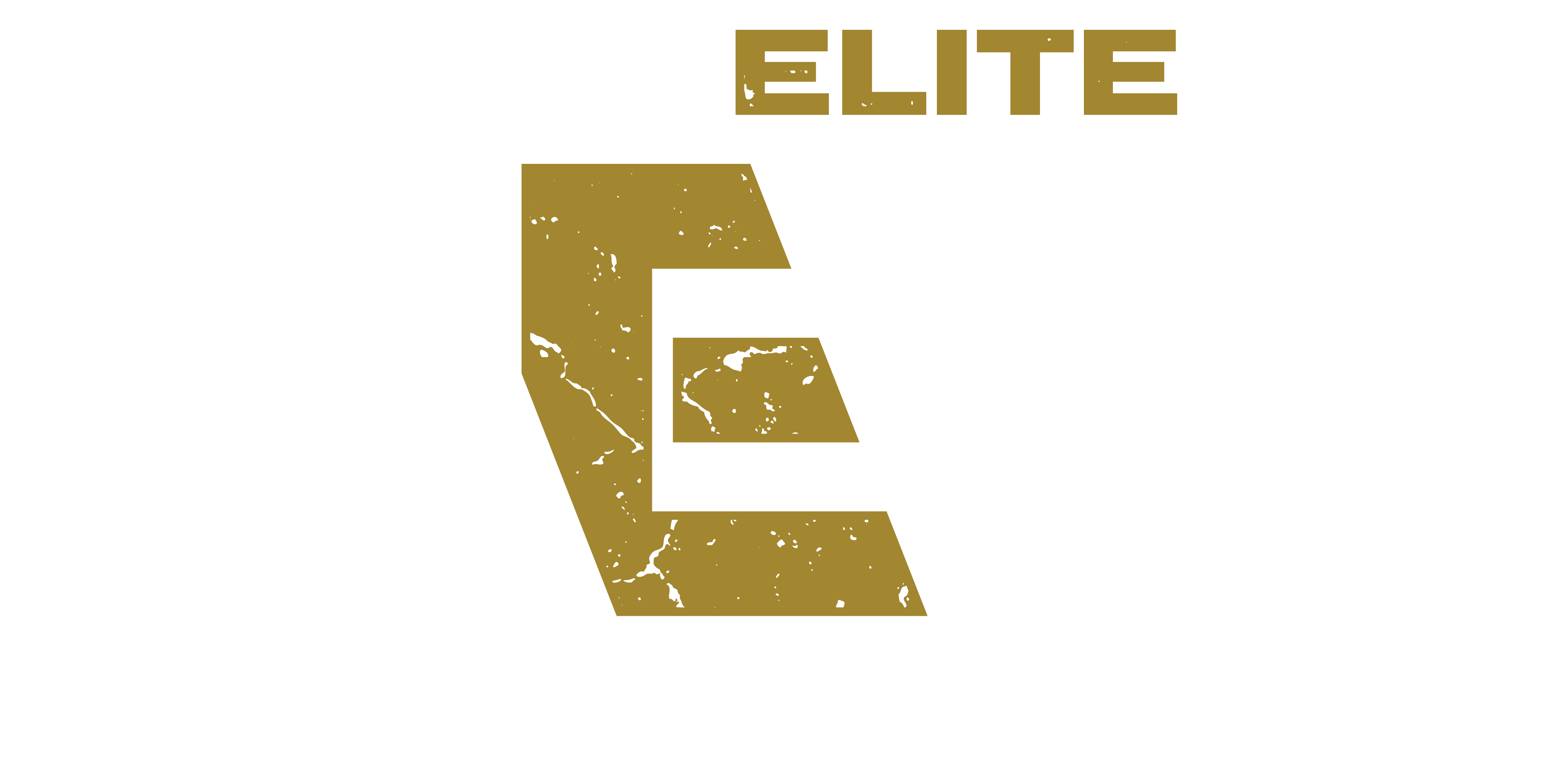 All Elite Wrestling